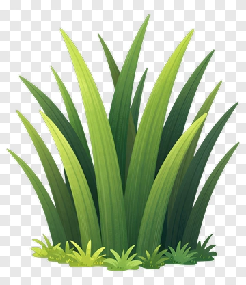 Green Grass Cluster PNG