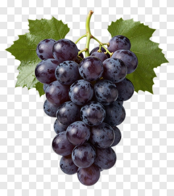 Purple Grape Cluster With Vine Leaves PNG