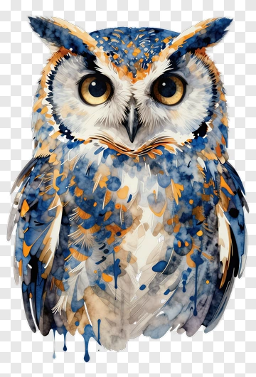 Watercolor Owl PNG