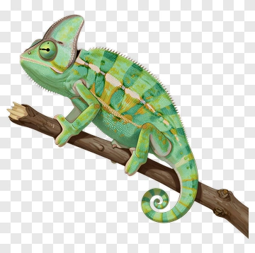 Chameleon On A Branch PNG