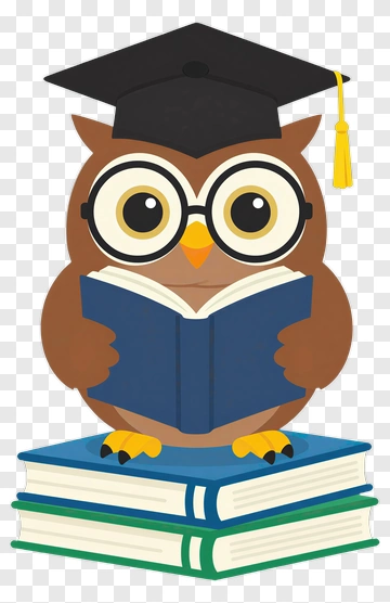 Owl In Graduation Cap Reading Book PNG