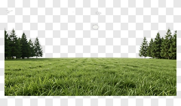 Lush Green Grass Field With Trees PNG
