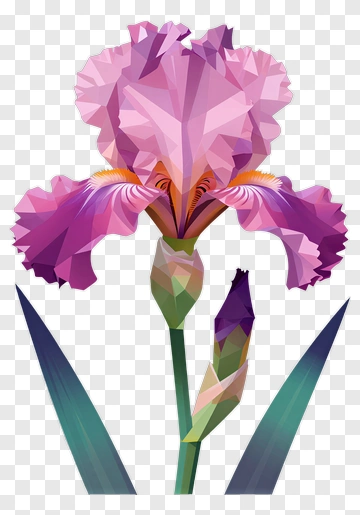 Iris Flower With Buds And Leaves PNG