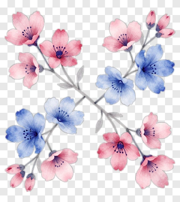 Watercolor Flowers In Pink And Blue PNG