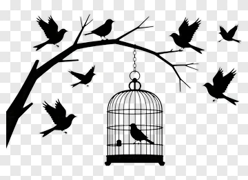 Birds Flying Away From Cage PNG