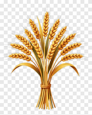 Golden Wheat Sheaf PNG