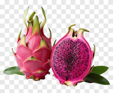 Dragon Fruit With Seeds And Leaf PNG