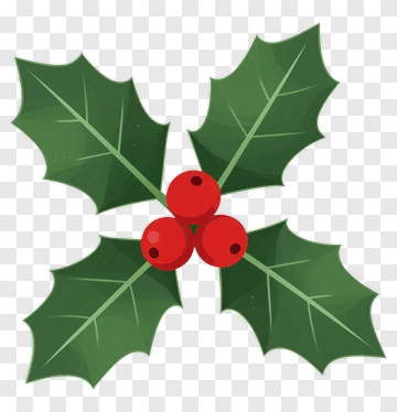 Holly With Berries PNG