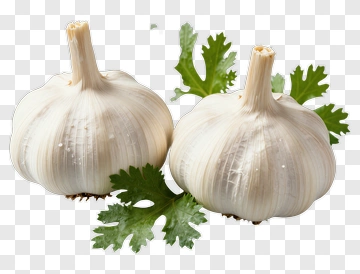 Fresh Garlic With Parsley PNG
