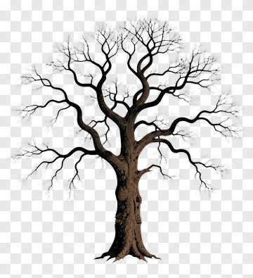 Hand-drawn Tree PNG