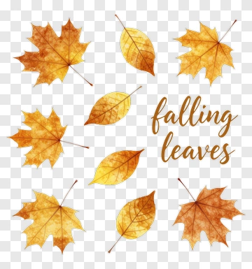 Falling Leaves Watercolor Illustration PNG
