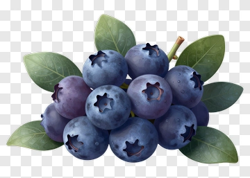 Fresh Blueberries With Green Leaves PNG