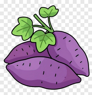 Purple Sweet Potato With Green Leaves PNG