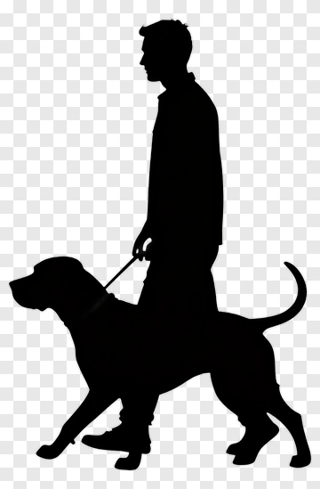 Man Walking Dog PNG