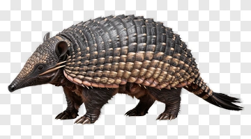 Armored Mammal With Bony Plates PNG
