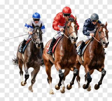 Horse Race With Jockeys In Action PNG