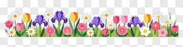 Colorful Floral Border Design PNG