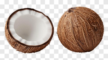Coconut With Fibrous Shell And White Interior PNG