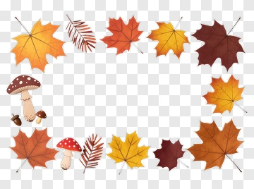 Autumn Leaves And Mushrooms PNG