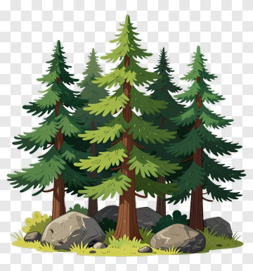 Group Of Pine Trees With Rocks And Grass PNG