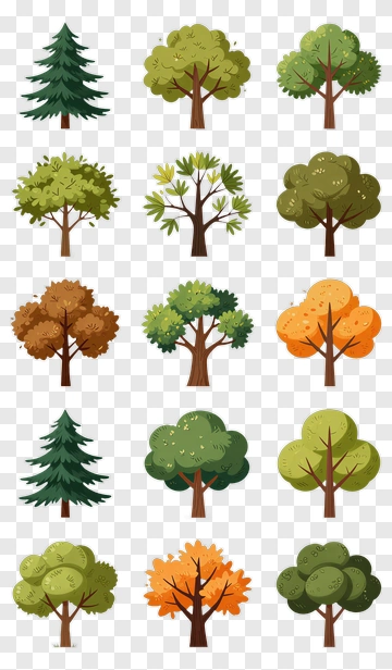Various Types Of Trees PNG