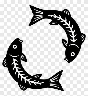 Two Fish With Skeleton Patterns PNG