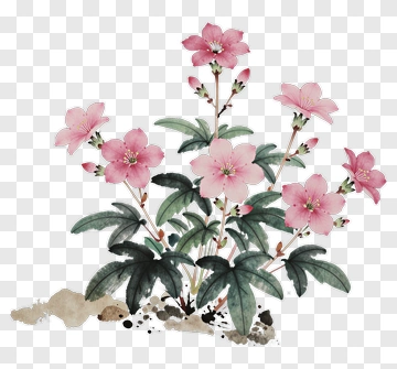 Pink Blossoms With Green Leaves PNG