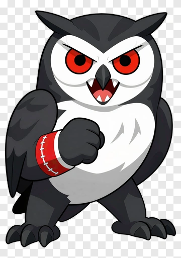 Angry Cartoon Owl PNG