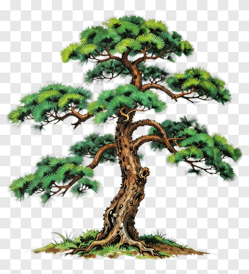 Pine Tree With Grass And Soil PNG