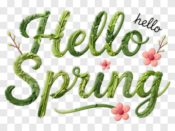 Hello Spring Handcrafted Lettering PNG