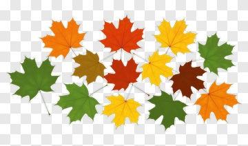 Autumn Maple Leaves In Various Colors PNG