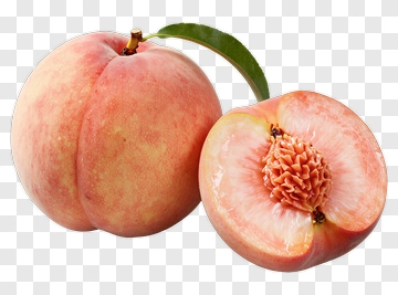 Fresh Peach With Leaf And Pit PNG