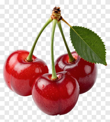 Three Cherries With Leaf PNG