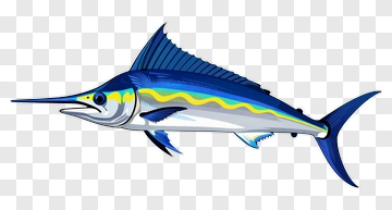 Swordfish PNG