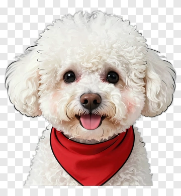 Happy Poodle With Red Bandana PNG