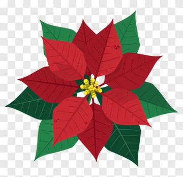 Red Poinsettia Flower PNG