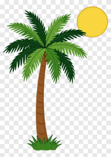 Palm Tree With Sun PNG