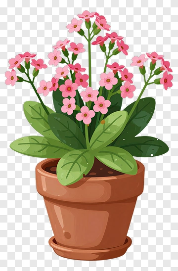 Pink Flower In Pot PNG