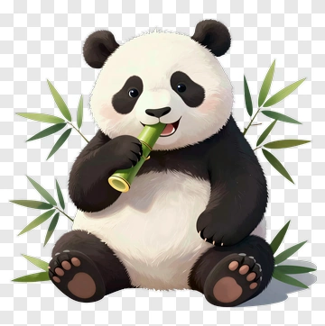 Cute Panda Eating Bamboo PNG