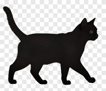 Black Cat Silhouette PNG