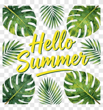 Hello Summer Tropical Greeting PNG