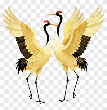 Pair Of Winged Cranes Standing PNG