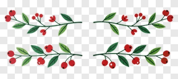 Berry Branch With Leaves PNG