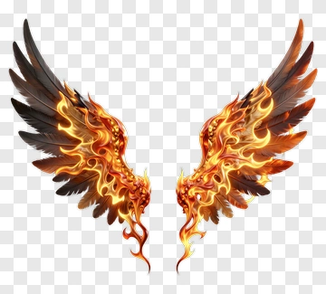 Fire Wings With Feathers And Flame PNG