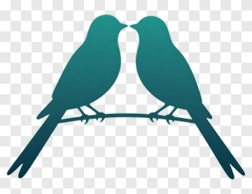 Two Birds Kissing On A Branch PNG