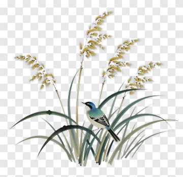 Blue Bird Among Yellow Grass PNG