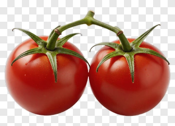 Two Tomatoes On Vine PNG