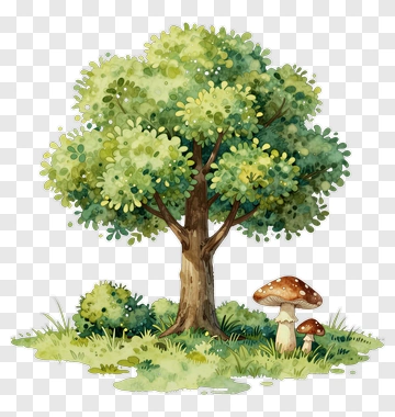 Tree And Mushroom In Forest PNG