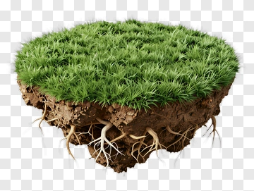 Floating Soil With Grass And Roots PNG