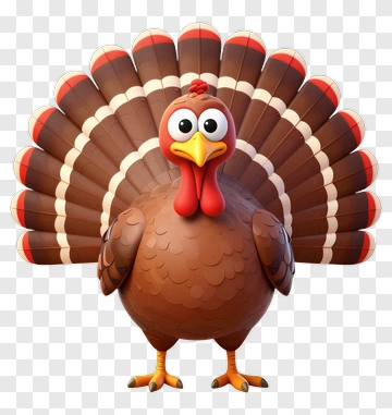 Cartoon Turkey With Feathers PNG